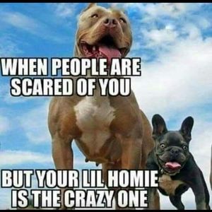 Meet your Posher, Heidi